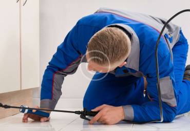 5 Things You Didn’t Know About Traditional toxic mosquito repellant