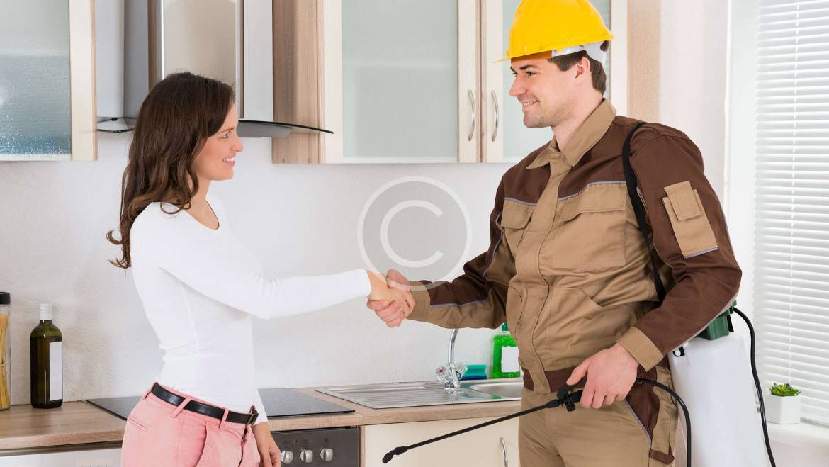 INSPECT & IDENTIFY