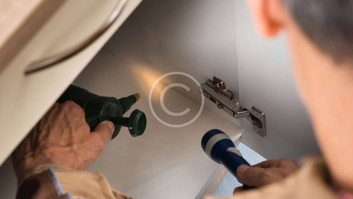 Top 10 Most Common Reasons not to eat outside in your backyard