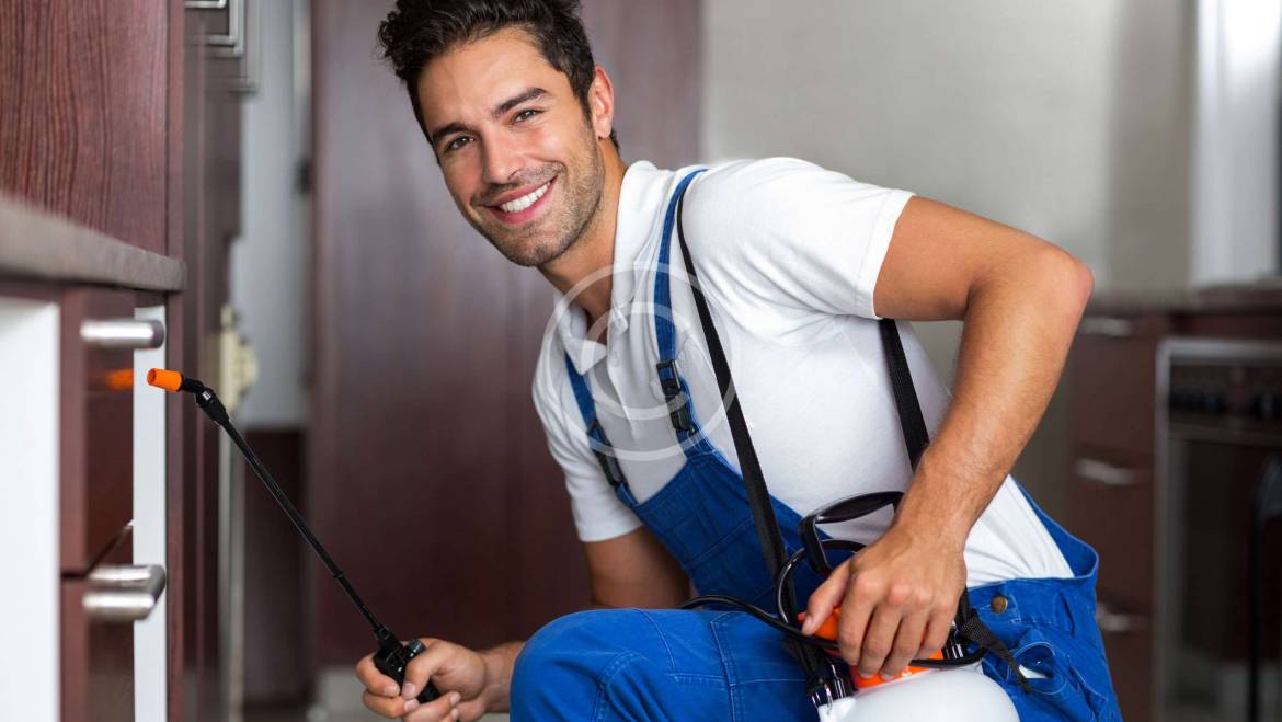 ENJOY YOUR YARD –WORRY-FREE
